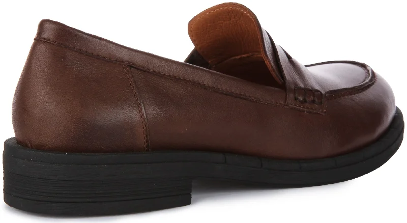 Vida Soft Penny Loafer In Brown